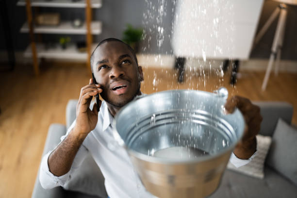 Best Flood restoration services  in Maple Valley, WA