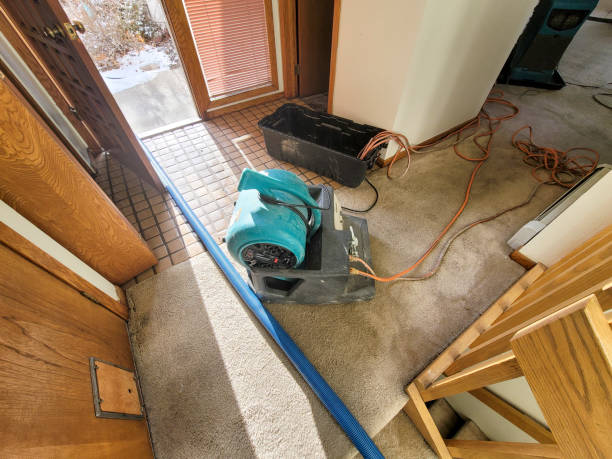 Best Local water damage restoration  in Maple Valley, WA