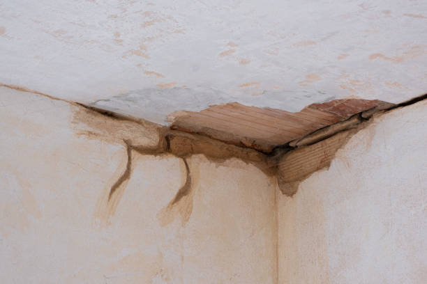 Best Residential water damage restoration  in Maple Valley, WA
