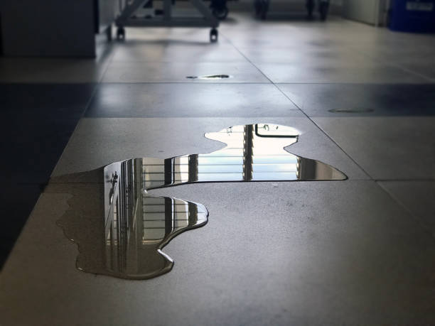Best Sewage cleanup and water damage restoration  in Maple Valley, WA