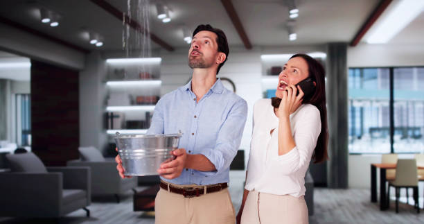 Best Flooded house restoration  in Maple Valley, WA